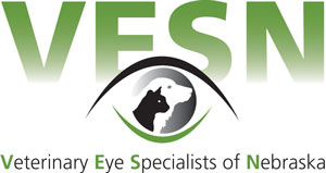veterinary eye specialist